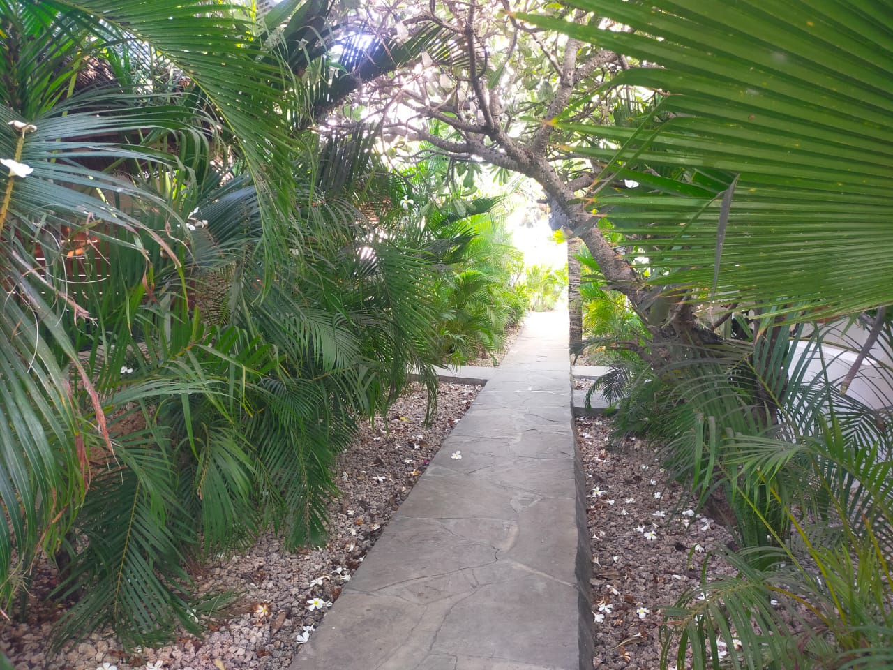 Arica Palm Hotel Gallery Image